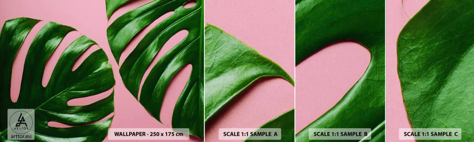 Fotobehang Monster Zelfklevend Deluxe Sticker - Groene rendez-vous - Monstera, Groen blad, Exotische plant - 100x30 cm