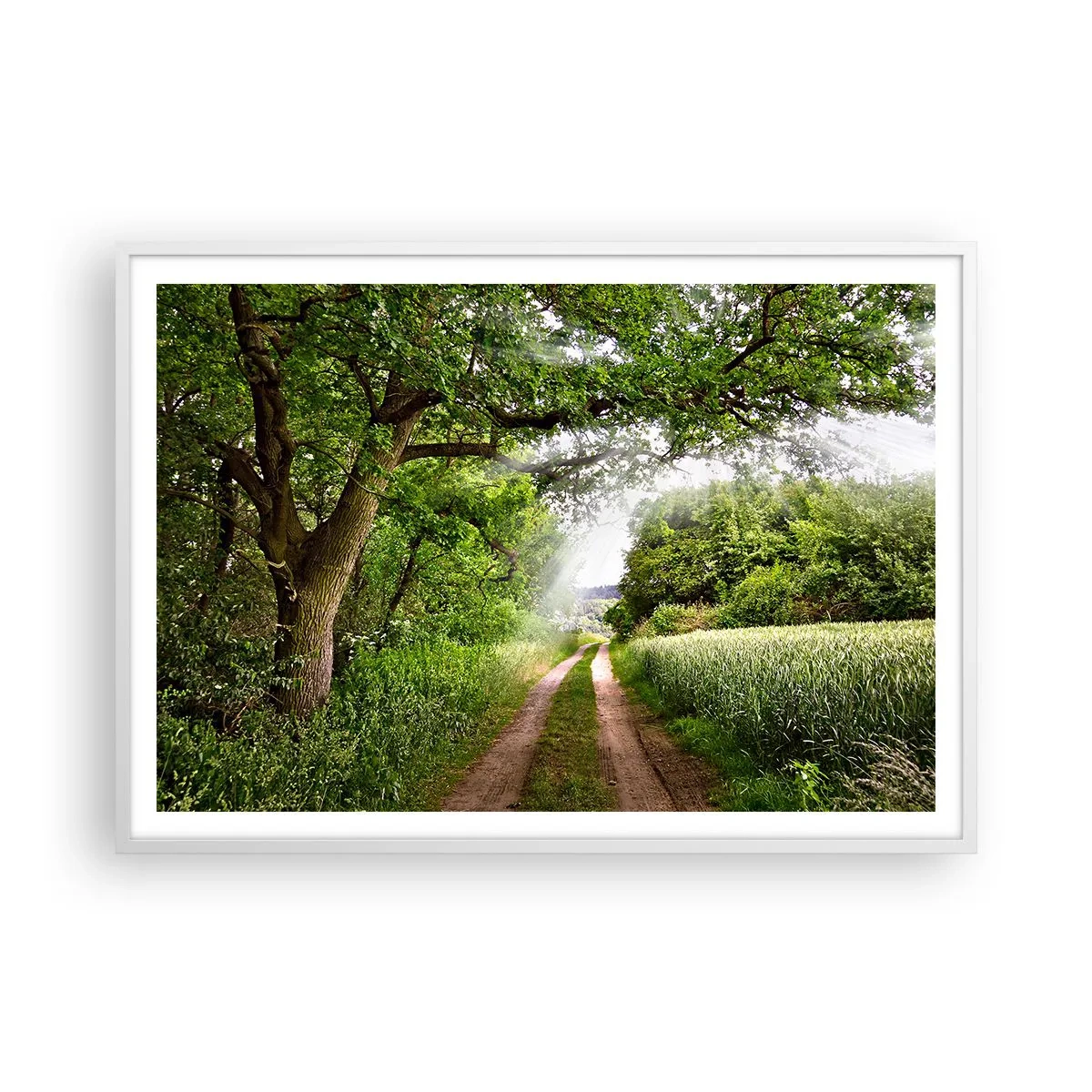 Poster in een witte lijst - Et in Arcadia ego - 100x70 cm