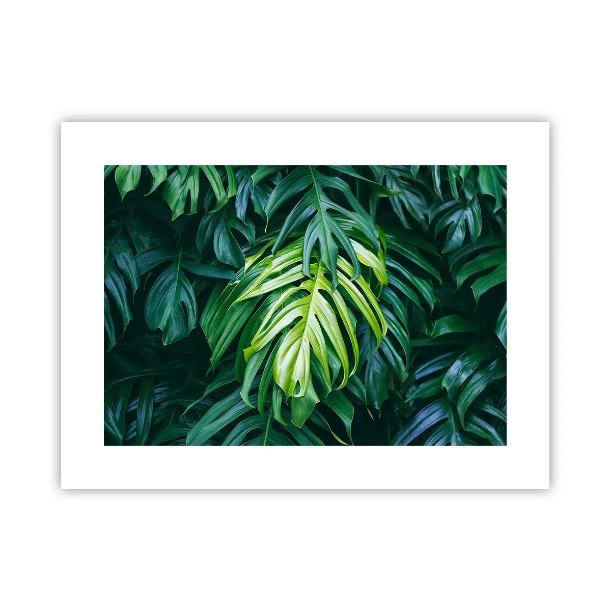 Poster - Dompel jezelf onder in de frisheid - 40x30 cm