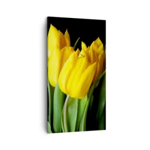 Schilderen op canvas - Gemaakt van heldere zon - 45x80 cm