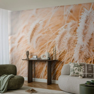 Fotobehang Standard Eco - Close-up van pluizige gouden grassprieten - 100x70cm - Het gouden geritsel van het gras - Moderne wanddecoratie voor woonkamer en slaapkamer ARTTOR