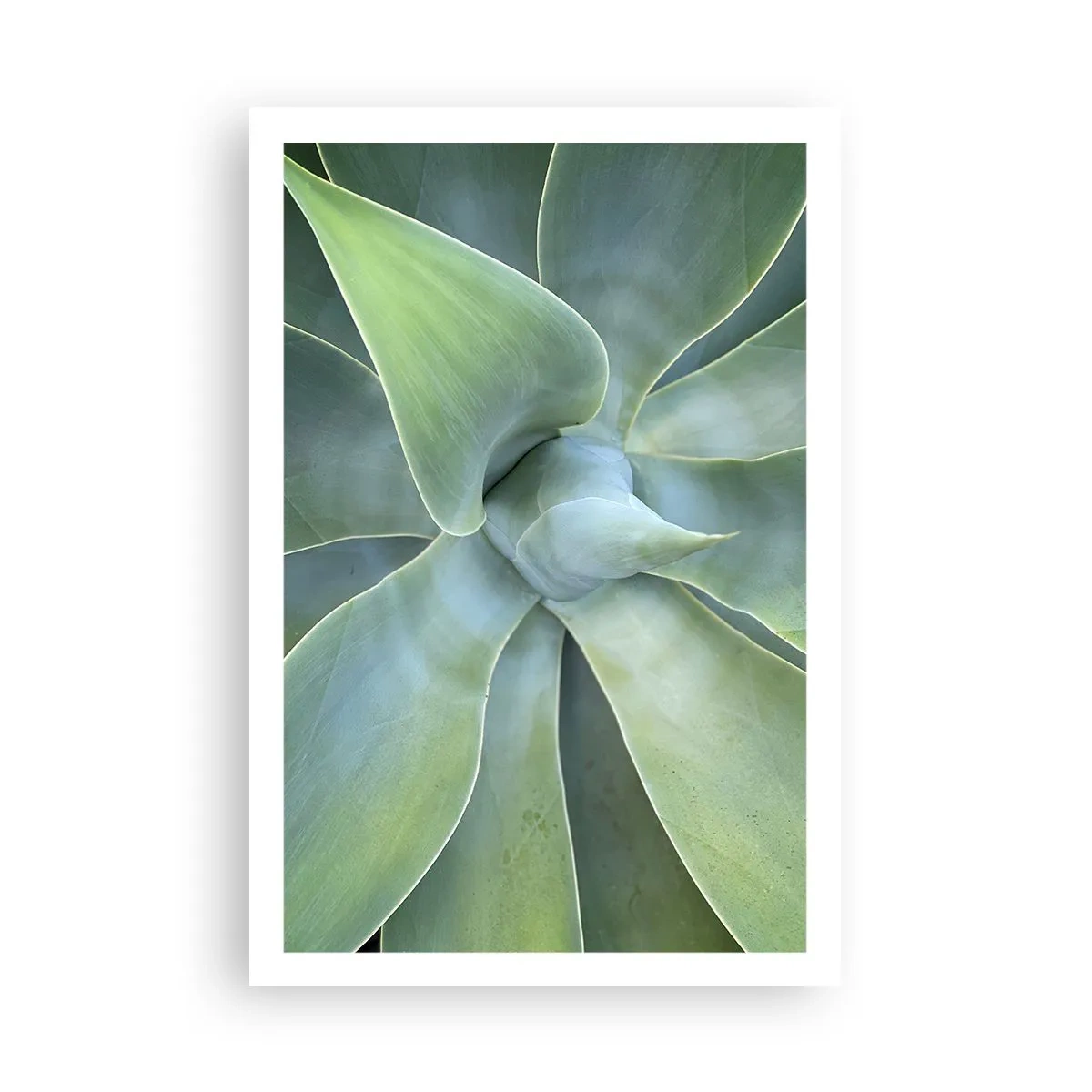 Poster - De geboorte van groen - 61x91 cm