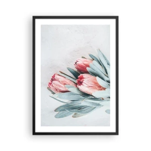 Poster in een zwarte lijst - Een subtiele compositie van proteabloemen op een lichte achtergrond - 50x70cm - Schaamt zich voor hun eigen schoonheid - Moderne wanddecoratie voor woonkamer en slaapkamer ARTTOR
