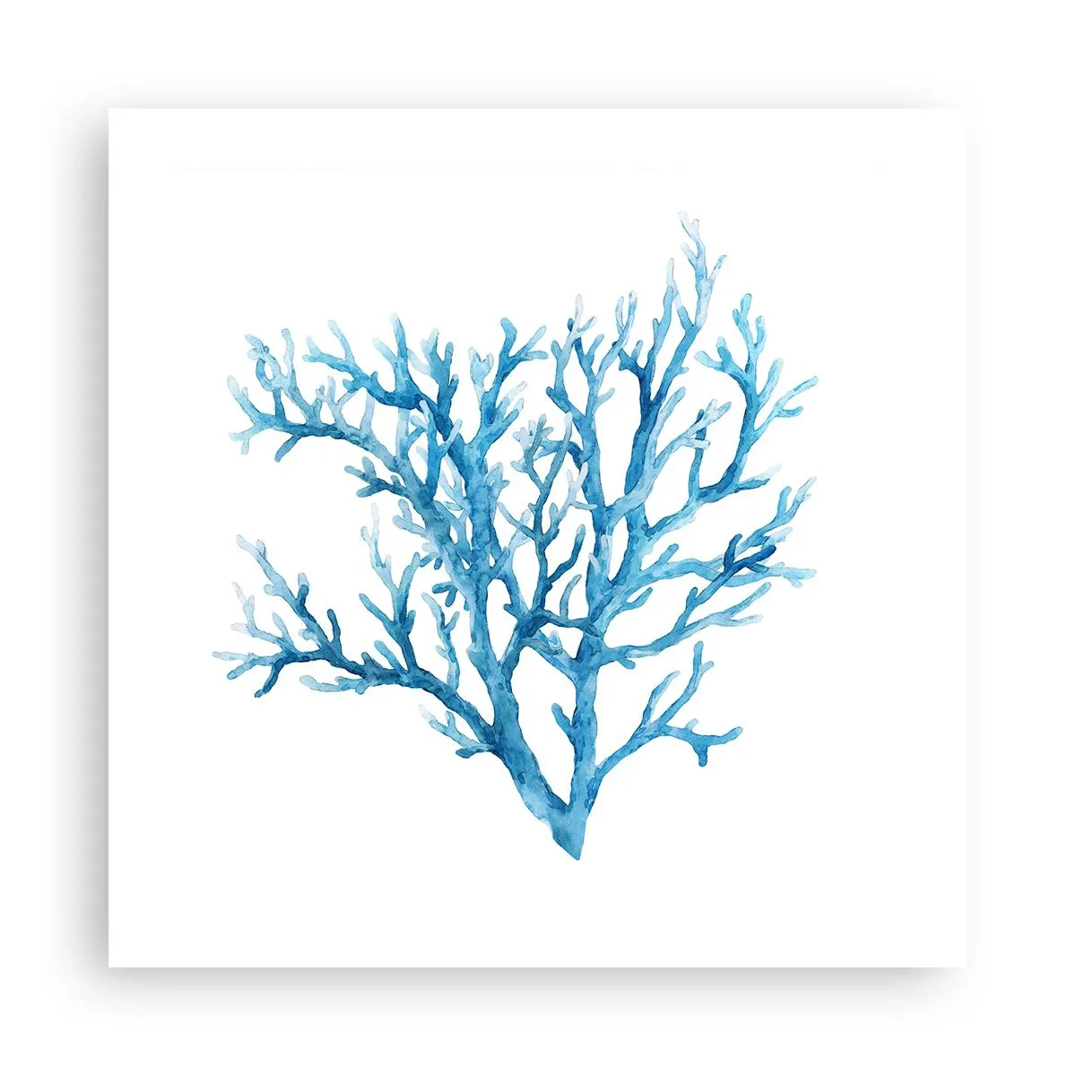 Poster - Nautische filigraan - 50x50 cm