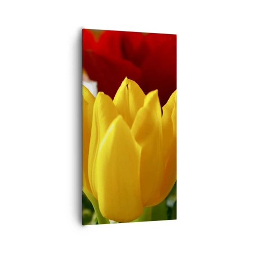 Schilderen op canvas - Tulpenkoorts - 65x120 cm