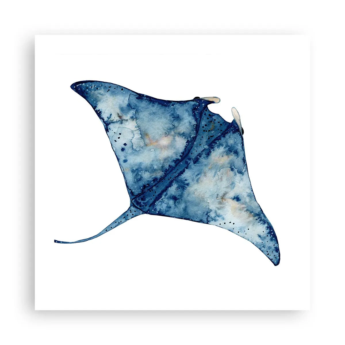 Poster - Leven in blauw - 50x50 cm