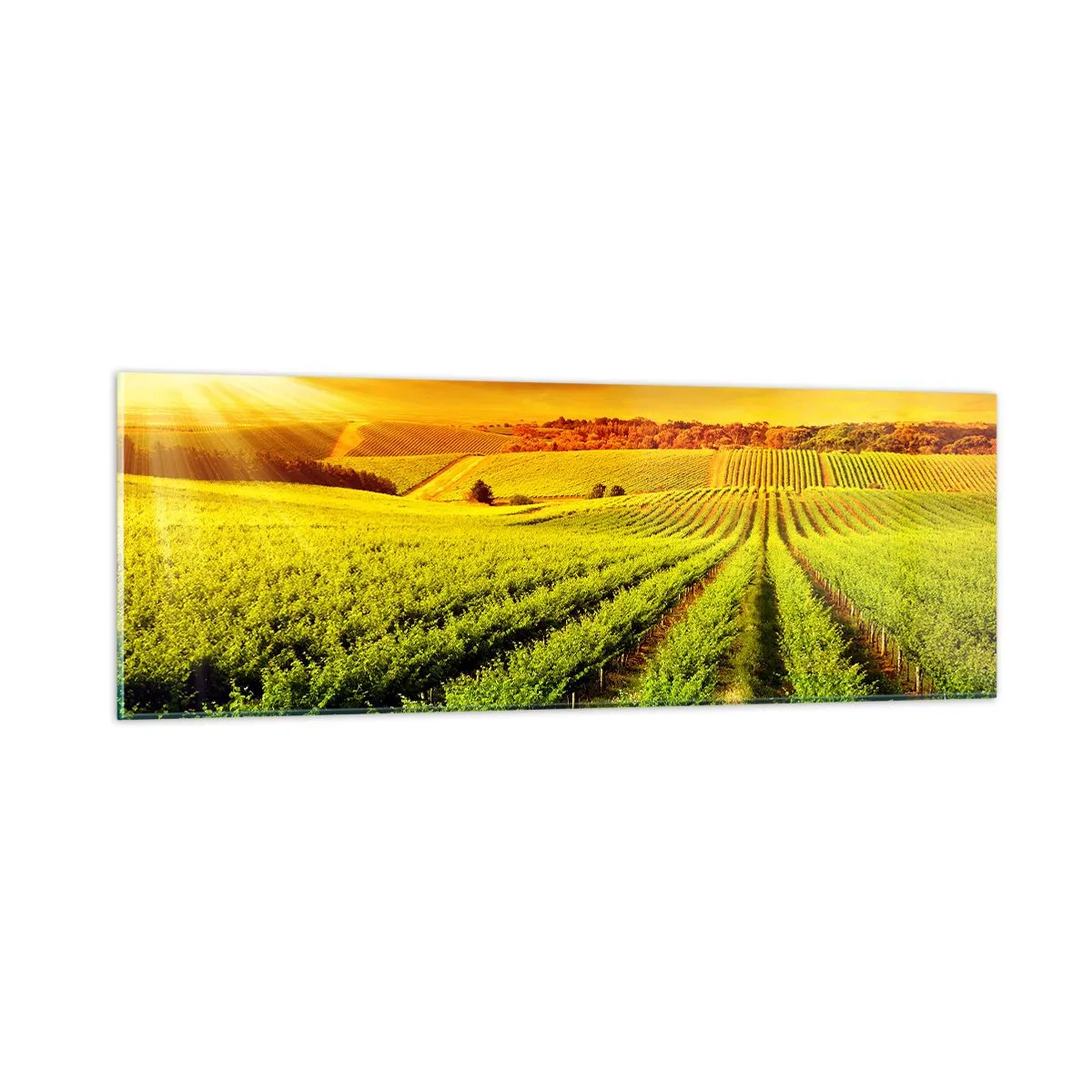 Schilderen op glas - Onder de Australische zon - 90x30 cm