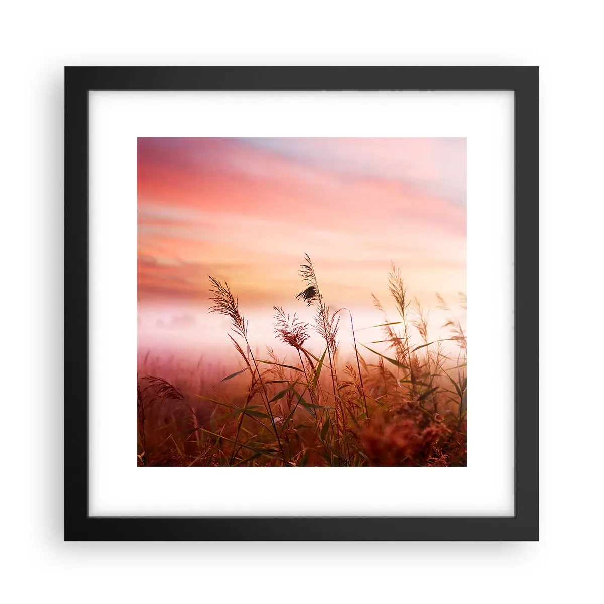 Poster in een zwarte lijst - Vliegers, paardebloemen, wind - 30x30 cm
