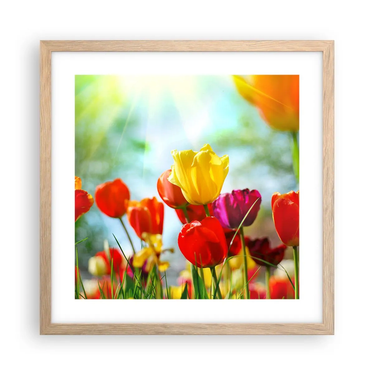 Een poster in een licht eiken lijst - Alle kleuren van de zon - 40x40 cm