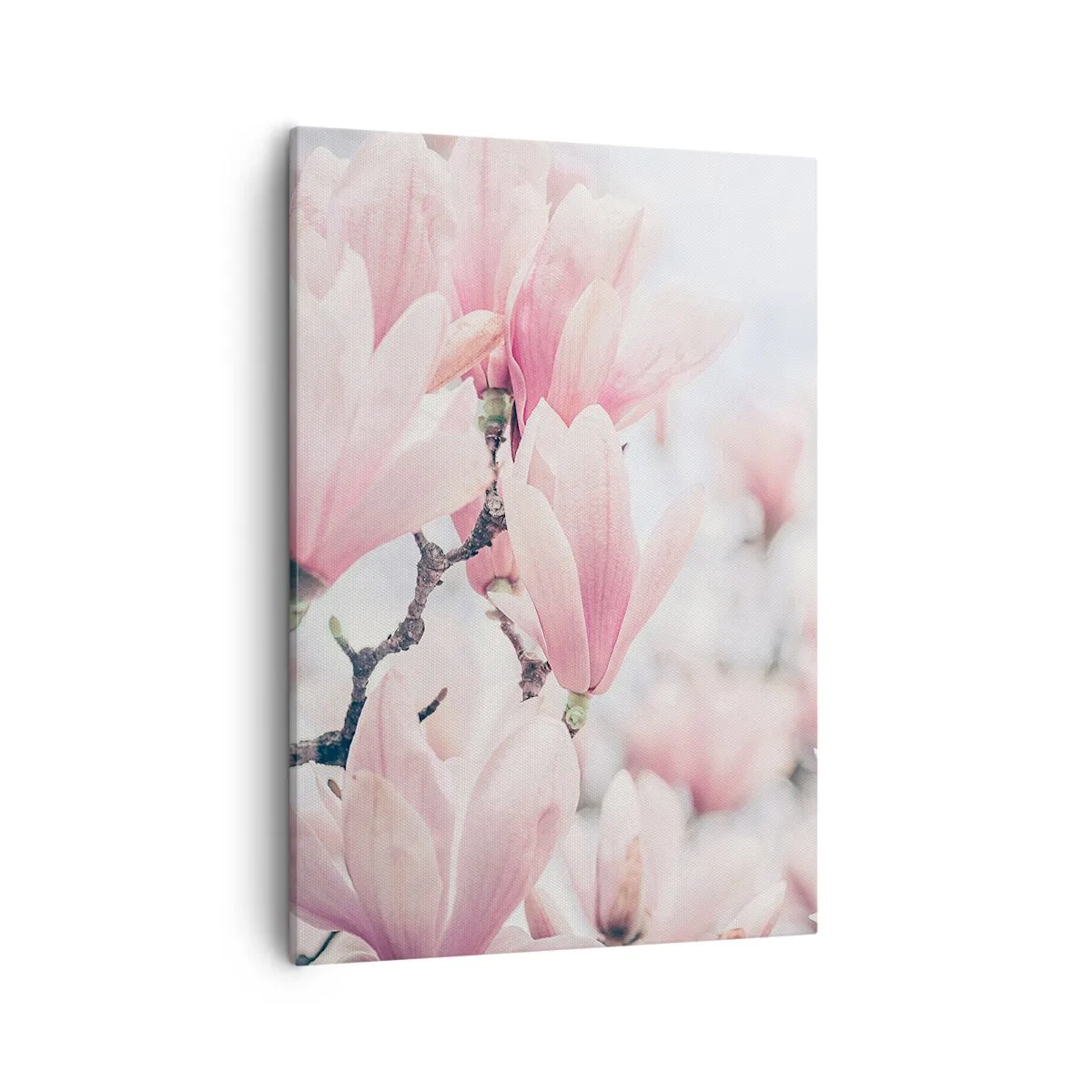 Schilderen op canvas - Het ideaal van subtiliteit - 50x70 cm