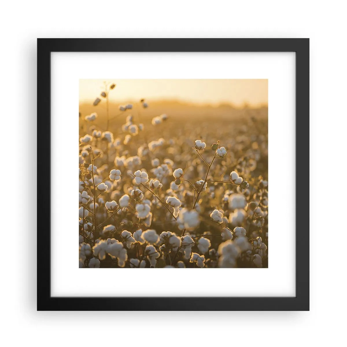 Poster in een zwarte lijst - Pluizig veld - 30x30 cm