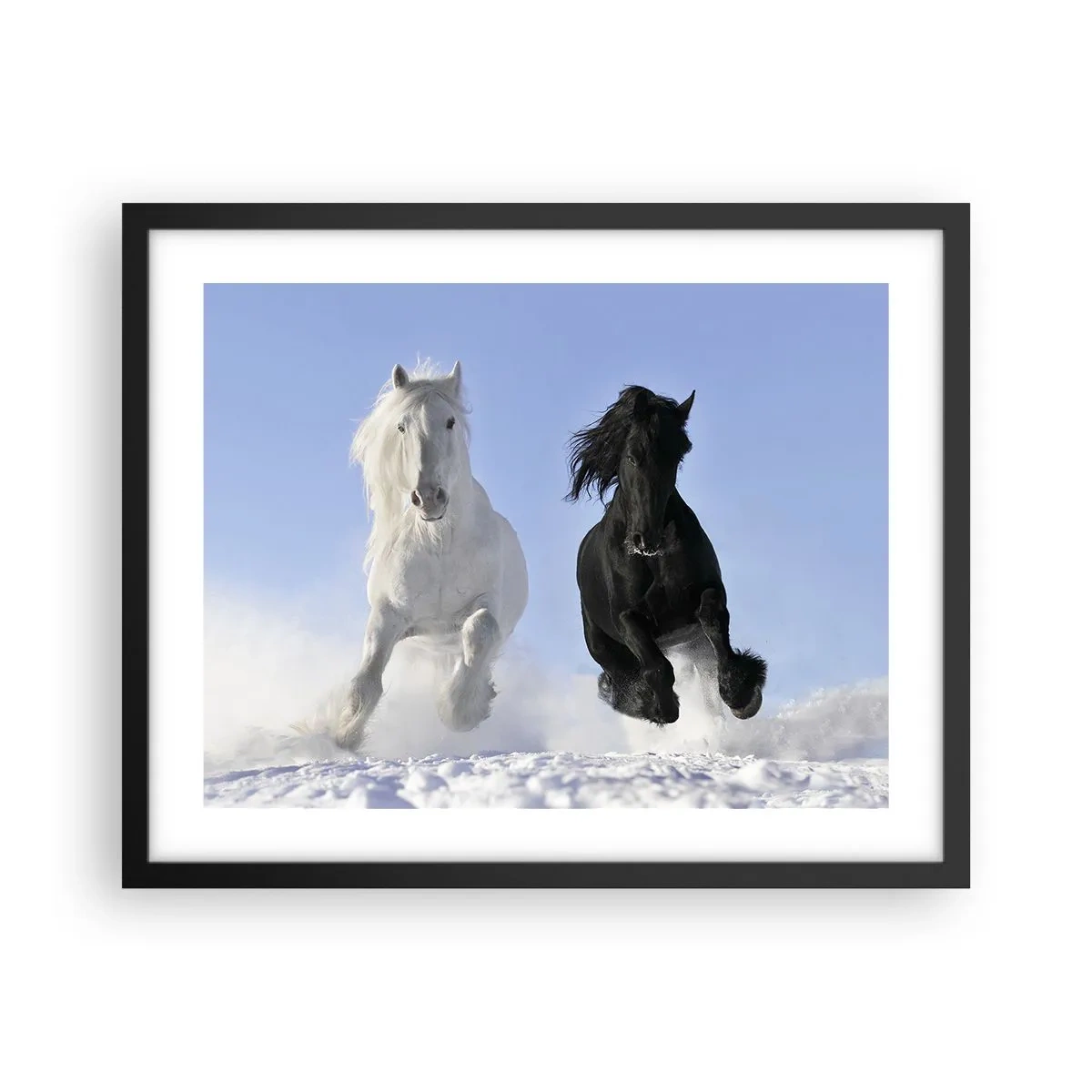 Poster in een zwarte lijst - Zwart-wit galop - 50x40 cm