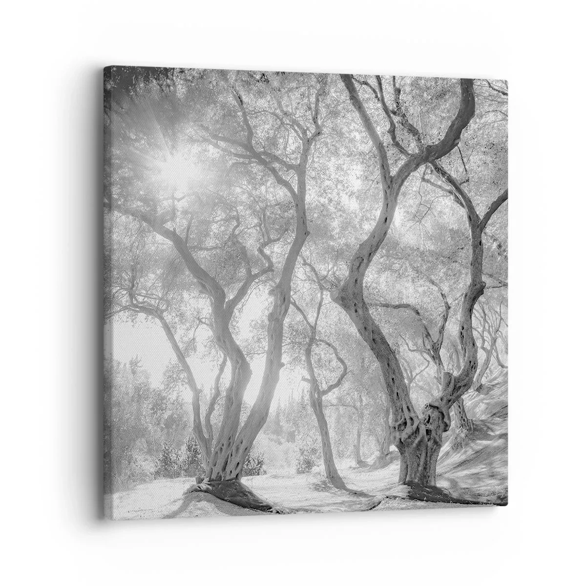 Schilderen op canvas - In de olijfboomgaard - 30x30 cm