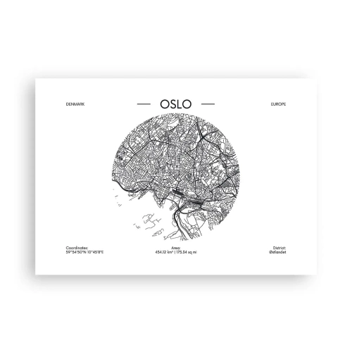 Poster - Anatomie van Oslo - 100x70 cm