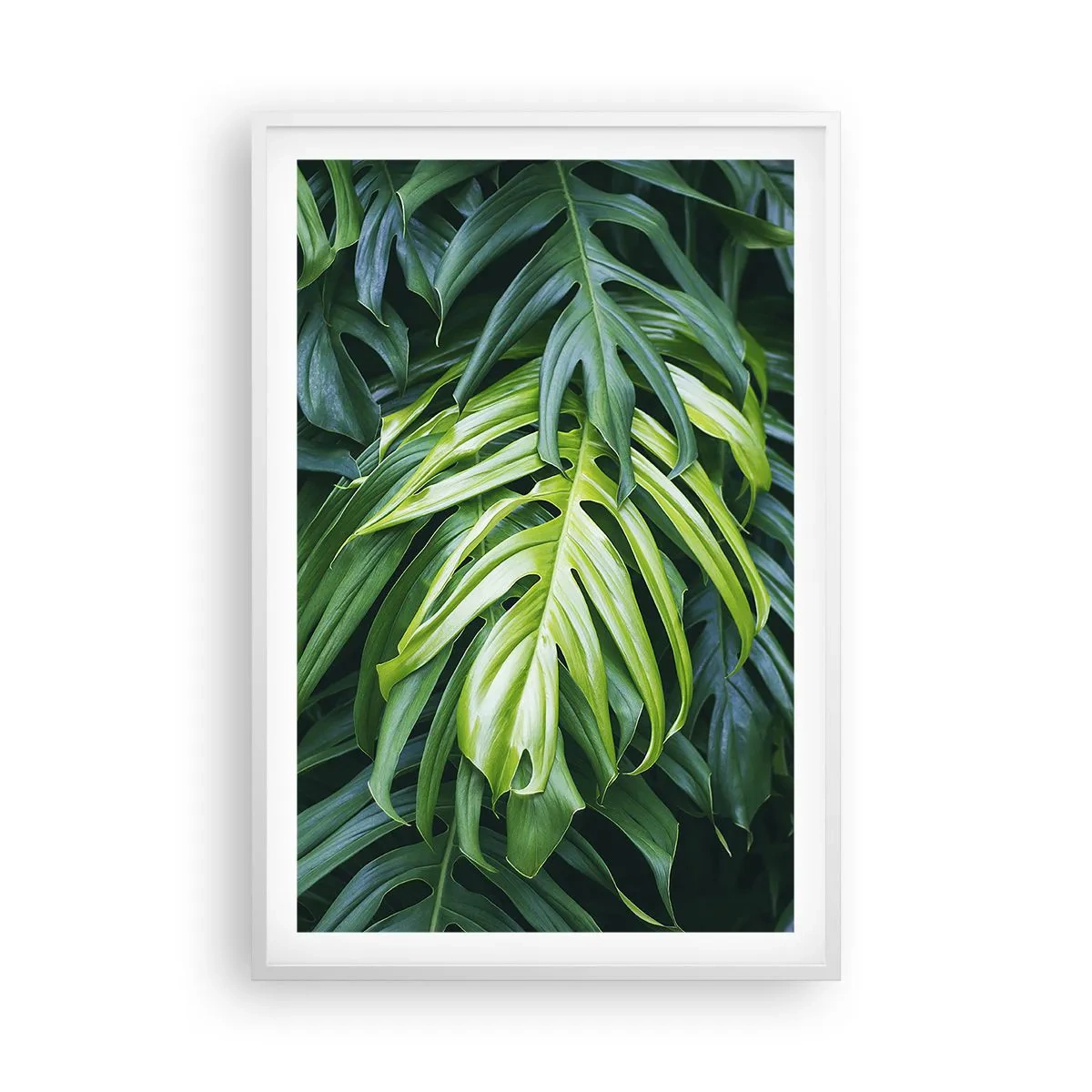 Poster in een witte lijst - Dompel jezelf onder in de frisheid - 61x91 cm