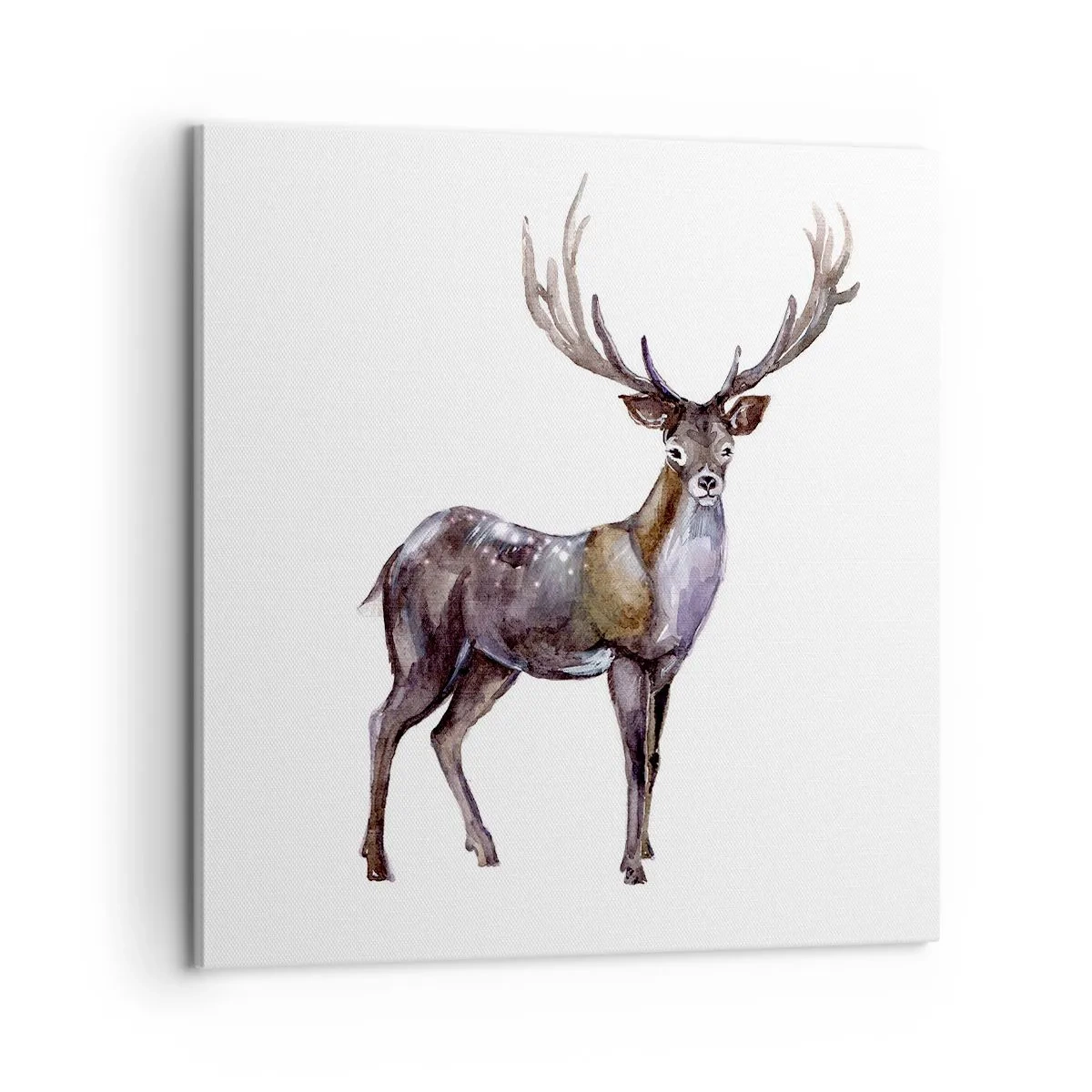 Schilderen op canvas - Koning van het noordelijke bos - 60x60 cm