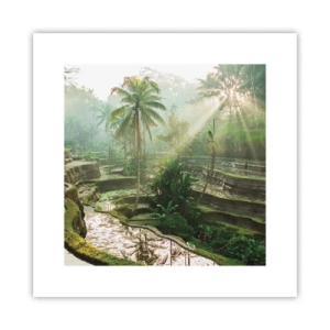 Poster - Opgroeien in de zon - 30x30 cm