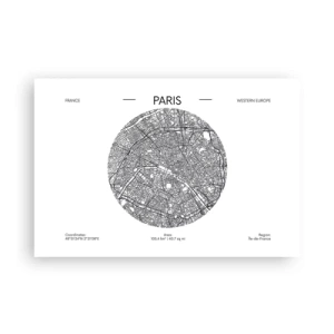 Poster - Anatomie van Parijs - 91x61 cm
