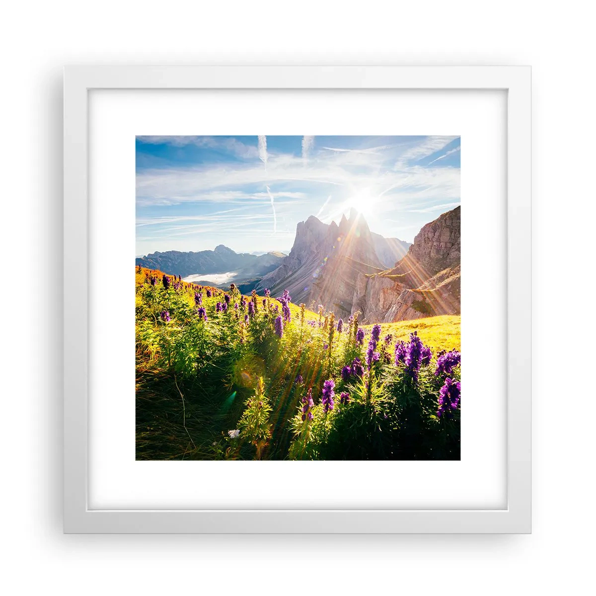 Poster in een witte lijst - Het geheime leven van kruiden - 30x30 cm