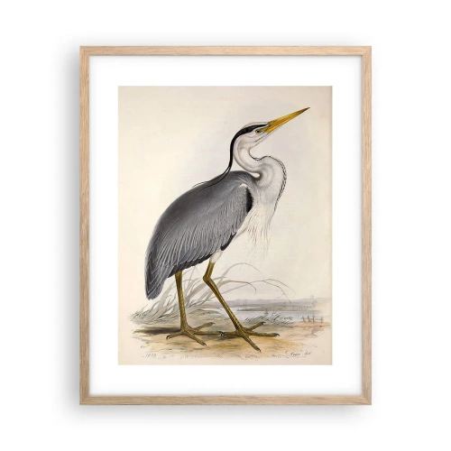 Een poster in een licht eiken lijst - Charmes van de reiger - 40x50 cm
