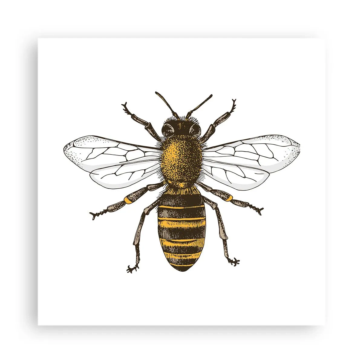 Poster - Mooi en goed - 40x40 cm