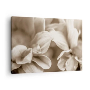 Schilderen op canvas - Close-up van bloemen in een delicate sepiatint met zachte contouren - 70x50cm - Zo zacht als een glimlach - Moderne wanddecoratie voor woonkamer en slaapkamer ARTTOR