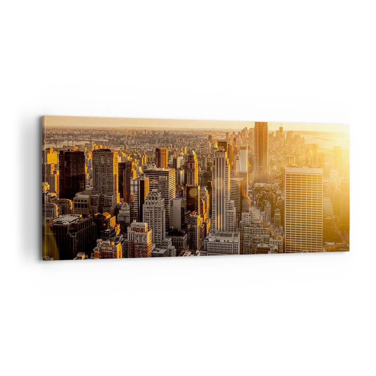 Schilderen op canvas - Groeien in de zon - 100x40 cm
