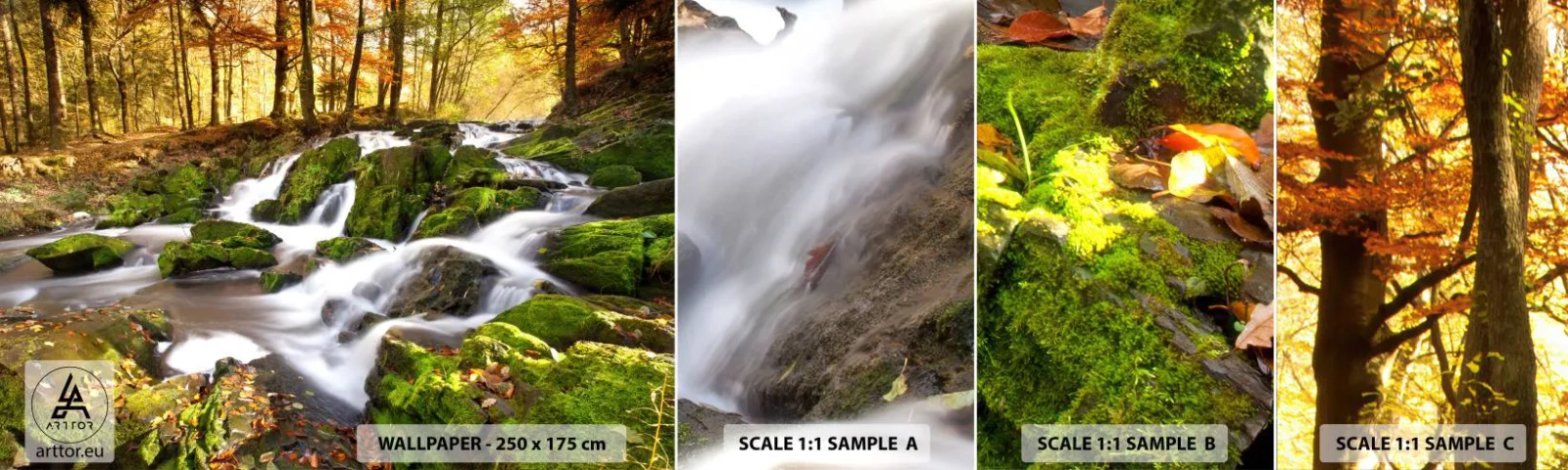 Fotobehang Staaltje Standard Eco - Snel door het herfstbos - Landschap, Woud, Berg rivier - 100x30 cm