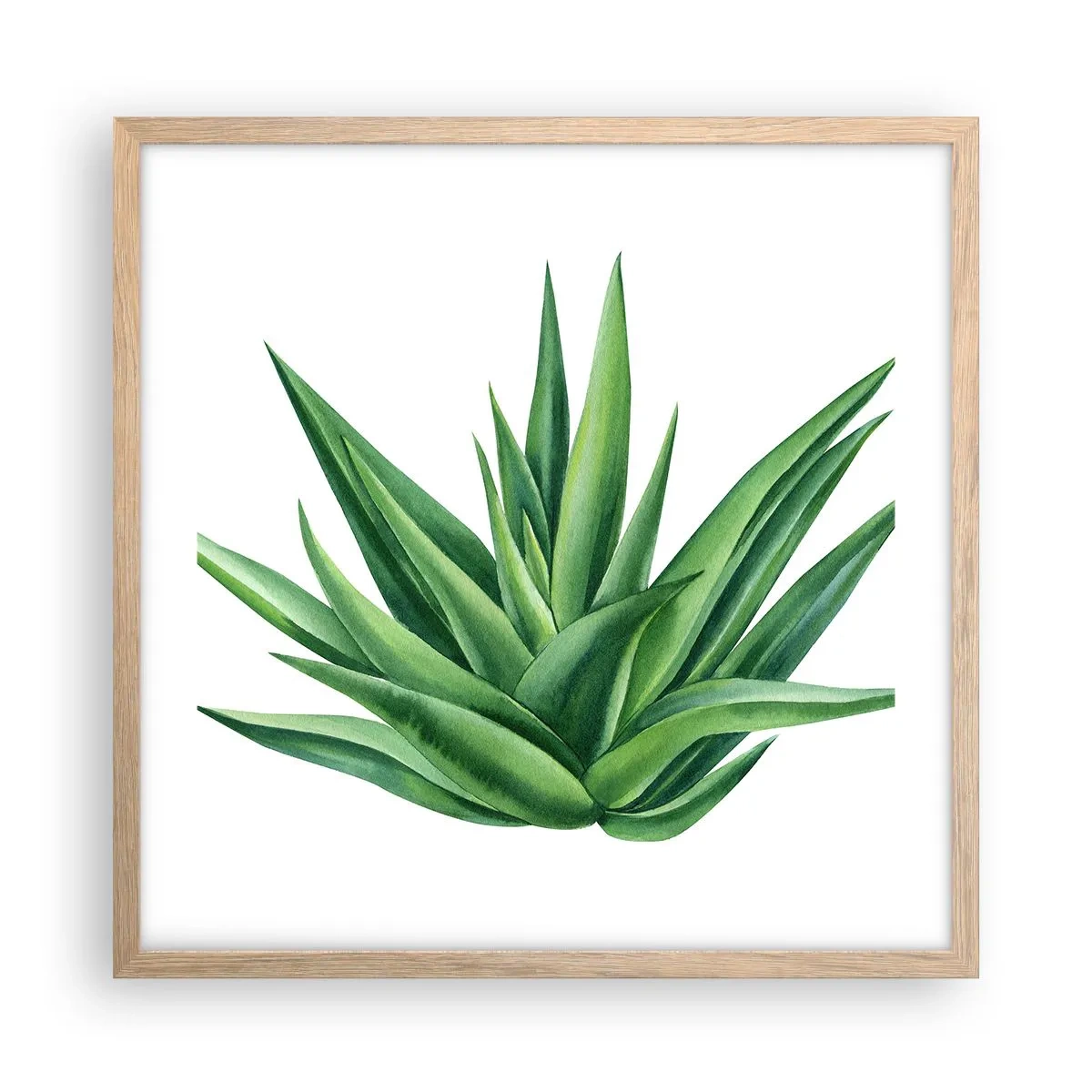 Een poster in een licht eiken lijst - Groen – kracht – leven - 50x50 cm