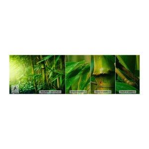 Fotobehang Monster Premium Sand - Maak kennis met groen zelf - Plant, Bamboe, Oerwoud - 100x30 cm