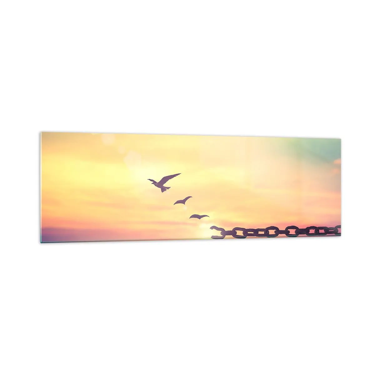 Schilderen op glas - De overwinning van vrijheid - 160x50 cm