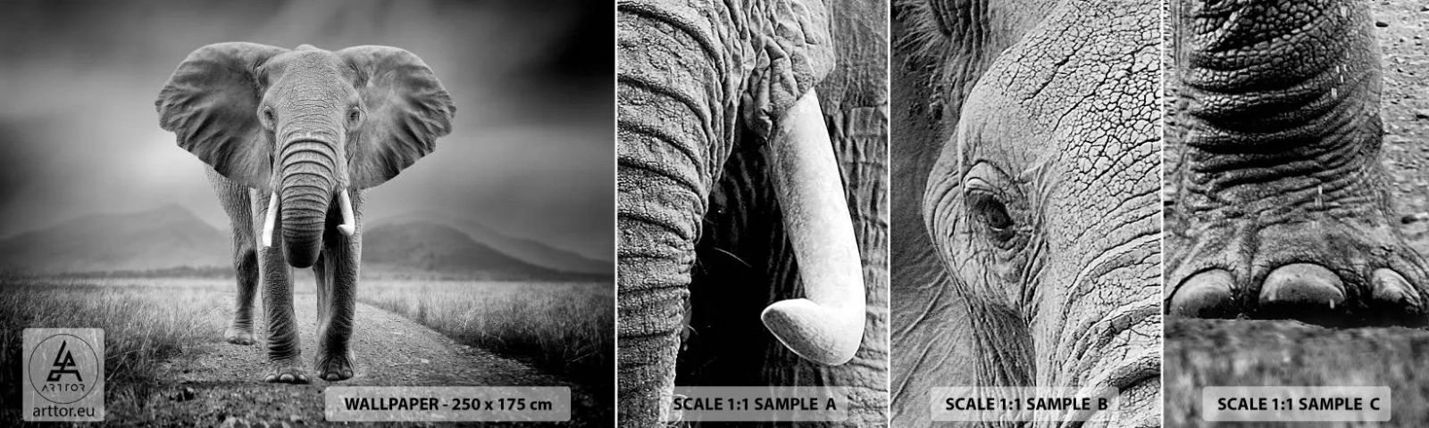 Fotobehang Monster Zelfklevend Deluxe Sticker - De gastheer heet je welkom - Olifant, Dieren, Landschap - 100x30 cm