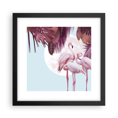 Poster in een zwarte lijst - Drie vogel genaden - 30x30 cm