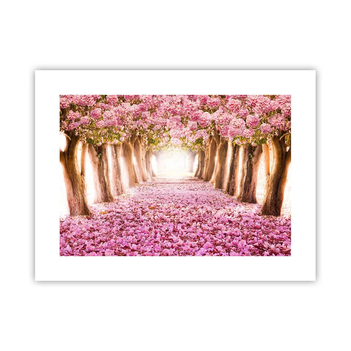 Poster - De weg naar het paradijs - 40x30 cm