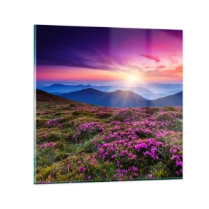 Schilderen op glas - Kruiden roken naar verse trossen van de velden - 70x70 cm