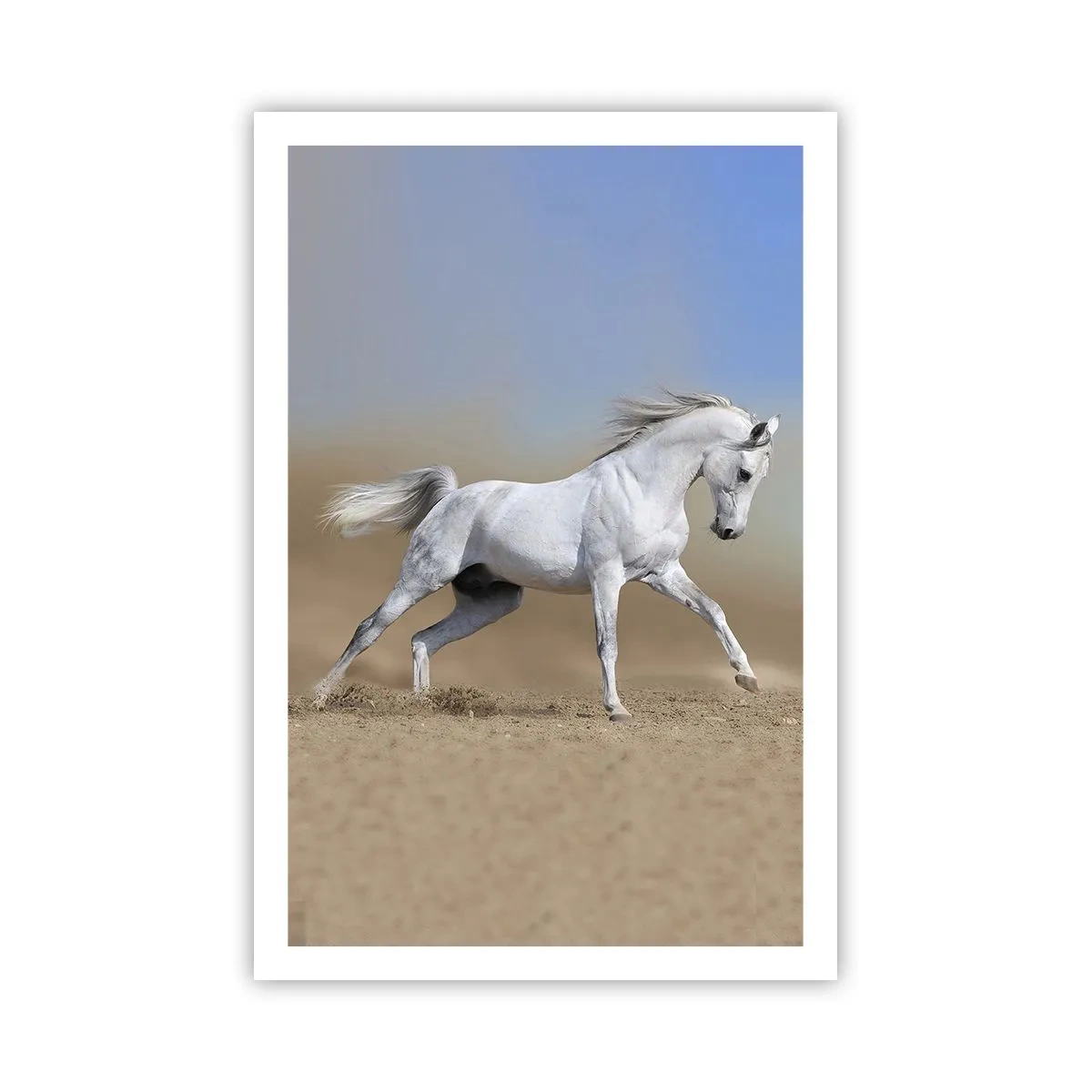 Poster - Het mooiste Arabische sprookje - 61x91 cm