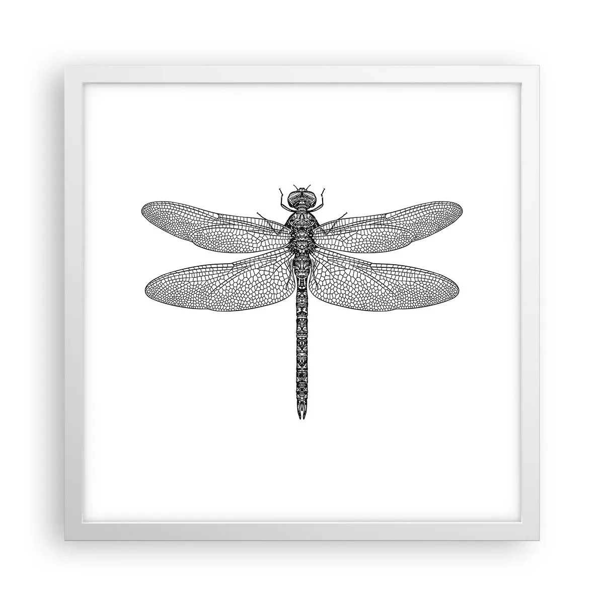 Poster in een witte lijst - Precisie van de natuur - 40x40 cm