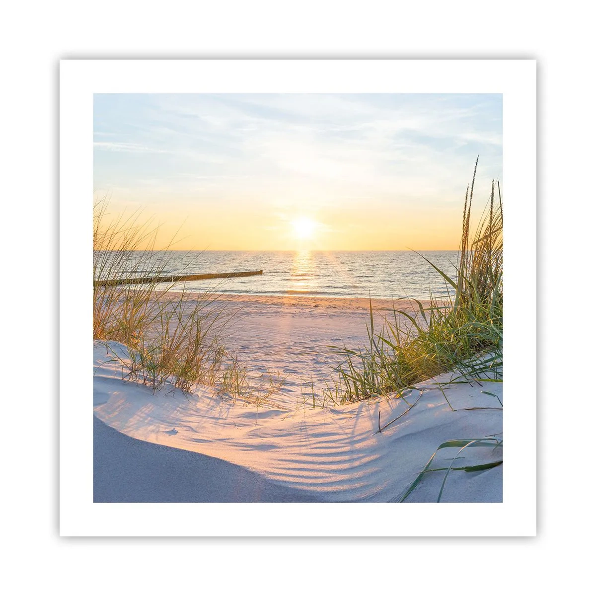 Poster - Het geluid van de zee, het zingen van vogels, een wild strand tussen het gras... - 50x50 cm