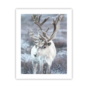 Poster - Portret in de zon - 40x50 cm