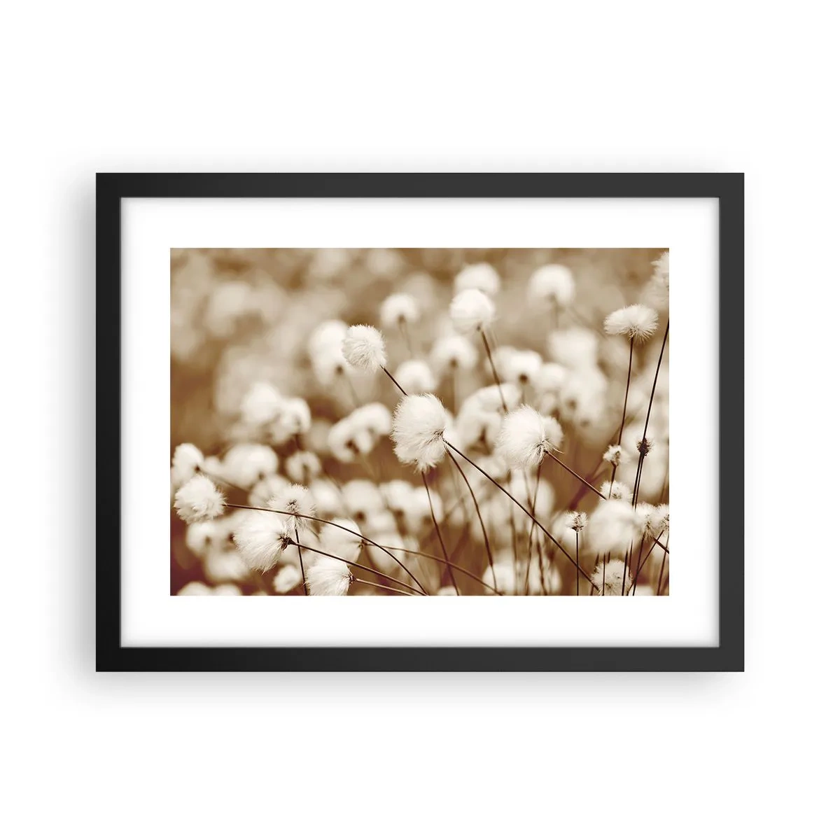 Poster in een zwarte lijst - Pluizig korenveld - 40x30 cm