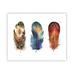 Poster - Rituelen, ceremonies, geheimen - 50x40 cm