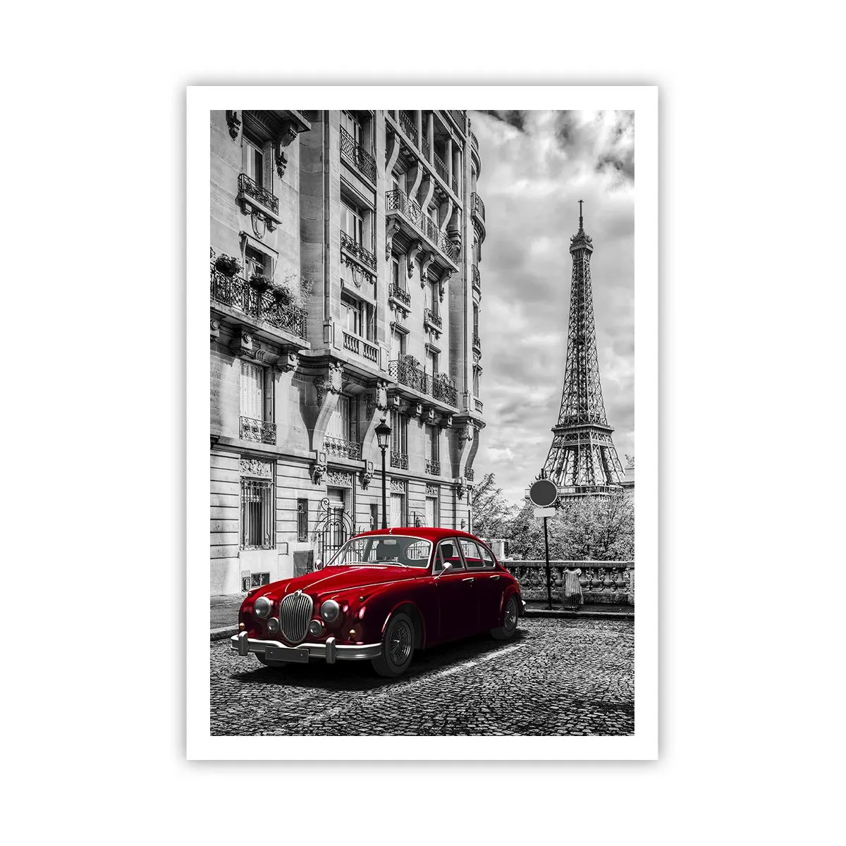 Poster - Roofdier in de stad - 70x100 cm