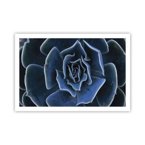 Poster - Woestijn bloem - 91x61 cm