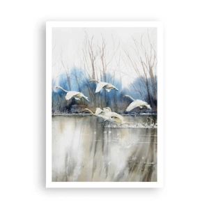 Poster - Zoals in het sprookje over wilde zwanen - 70x100 cm