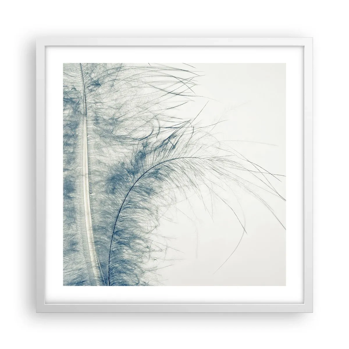 Poster in een witte lijst - Het gefluister van de natuur - 50x50 cm