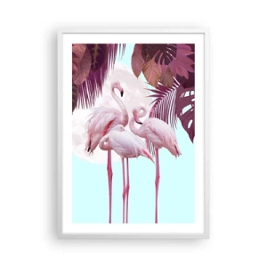 Poster in een witte lijst - Drie vogel genaden - 50x70 cm