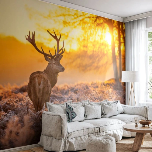 Fotobehang Premium Sand - Koning van het herfstbos - Landschap, Hert, Natuur - 350x256 cm
