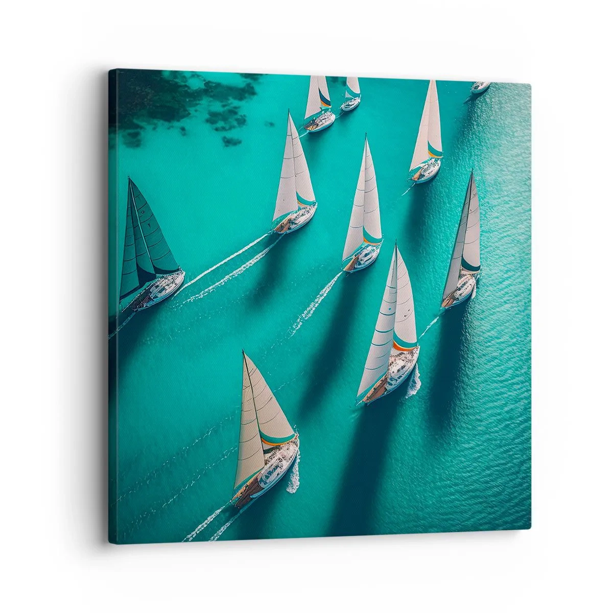 Schilderen op canvas - In een wedstrijd met de wind - 30x30 cm