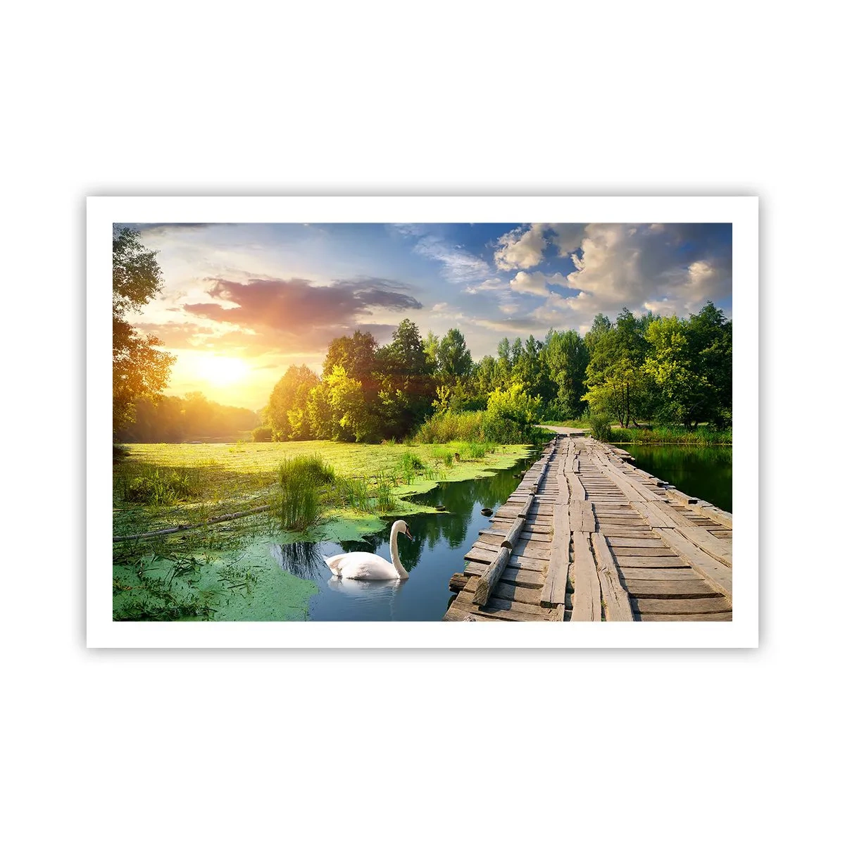 Poster - Zomer, zomer overal - 91x61 cm