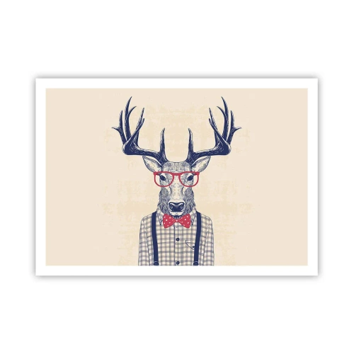 Poster - Een grappig extravaganza - 100x70 cm